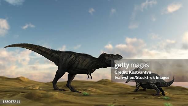 an einiosaurus is confronted by a tyrannosaurus rex. - einiosaurus stock illustrations