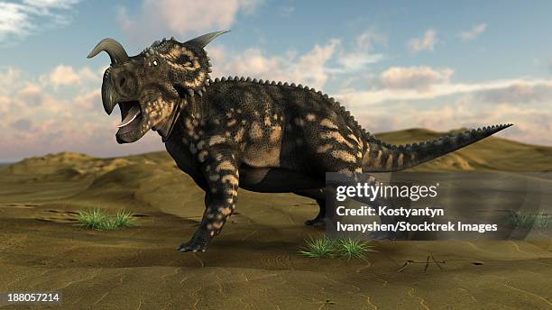 brown einiosaurus walking across a barren landscape. - einiosaurus stock illustrations