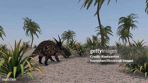brown einiosaurus in a prehistoric environment. - einiosaurus stock illustrations