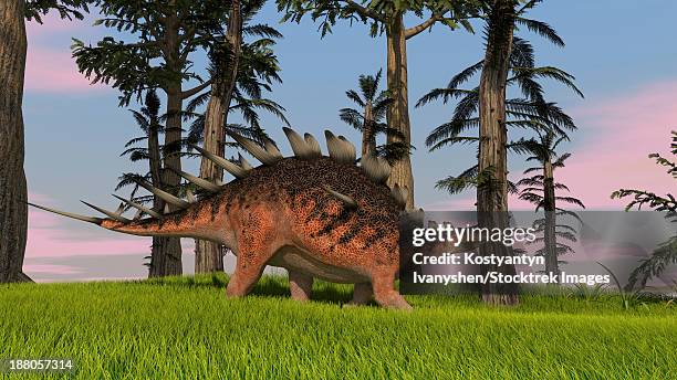 kentrosaurus walking across a grassy field. - kentrosaurus stock illustrations