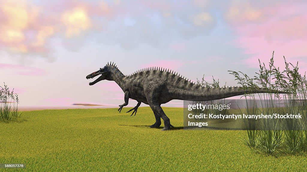 Suchomimus walking across a grassy field.