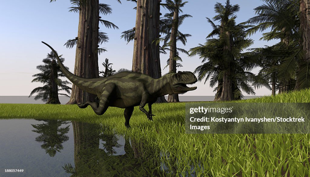 Yangchuanosaurus running through a swamp.
