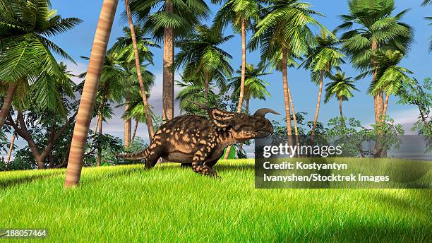 brown einiosaurus walking across a grassy field. - einiosaurus stock illustrations