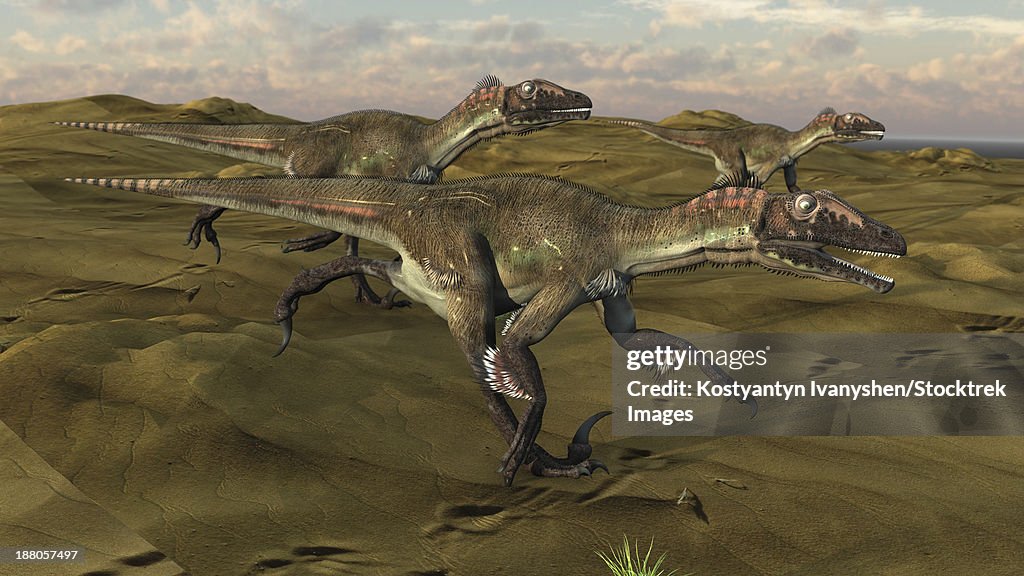 Small Utah Raptors Three Utahraptors Running Across A Desert Landscape High-Res Vector ...