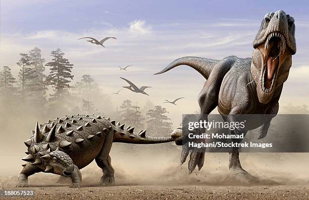 an euoplocephalus hits t-rex's foot by its mace like tail in self-defense. - tyrannosaurus rex stock-grafiken, -clipart, -cartoons und -symbole