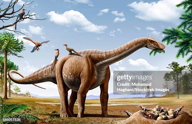 a rapetosaurus is feeding from conifers leaf, with some rahonavis on it's back and newborn majungasaurus babies in their nest. - bite stock illustrations