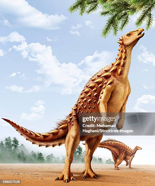 a scelidosaurus standing on its hind legs eating conifer leaves. - animal leg stock-grafiken, -clipart, -cartoons und -symbole