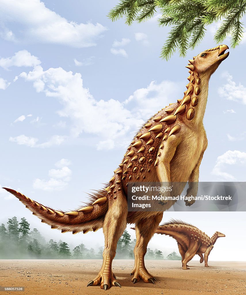 A Scelidosaurus standing on its hind legs eating conifer leaves.