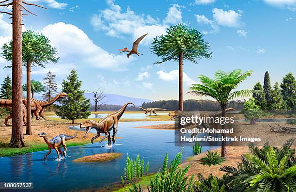 illustrations, cliparts, dessins animés et icônes de two herrerasaurus chasing a silesaurus down a stream in the triassic period. two plateosaurus are in the background. - groupe moyen d'animaux