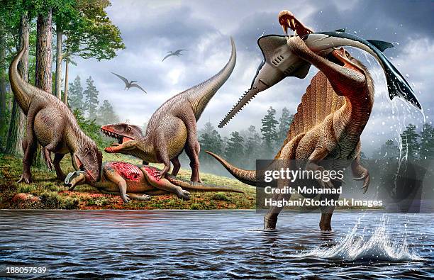ilustrações de stock, clip art, desenhos animados e ícones de a spinosaurus hunting an onchopristis while two carcharodontosaurus eat the carcass ouranosaurus in the background.. - animal morto
