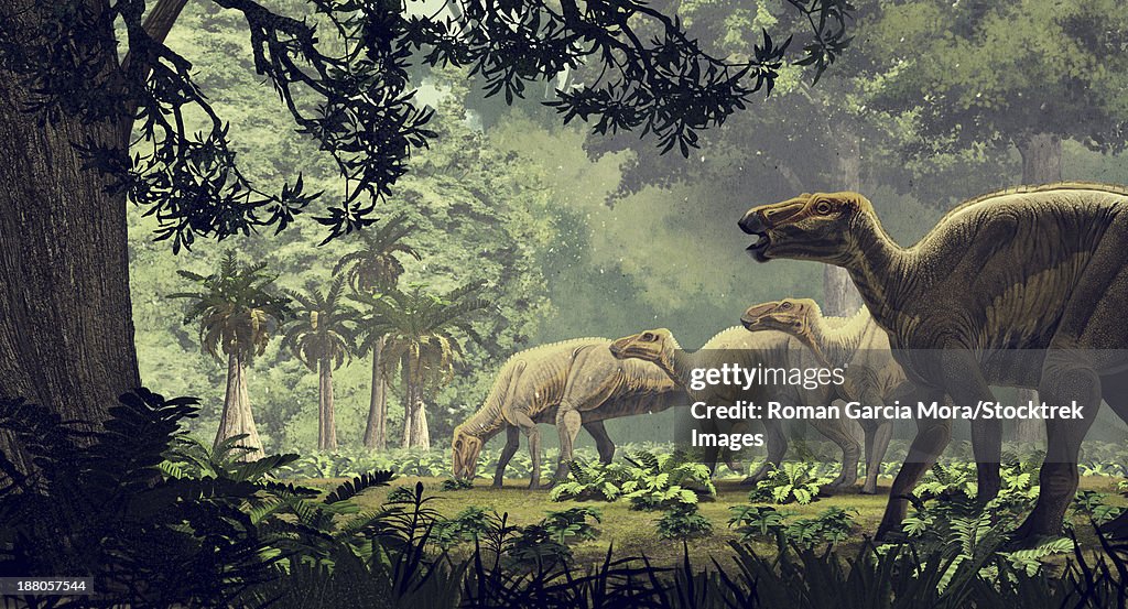 Edmontosaurus annectens, a saurolophine hadrosaur from the Maastrichtian (Late Cretaceous) of North America.