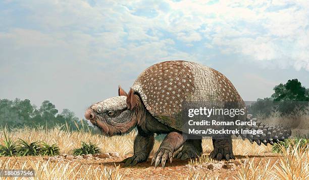 glyptotherium arizonae, a glyptodontid from the pleistocene megafauna of north america. - paläozoologie stock-grafiken, -clipart, -cartoons und -symbole