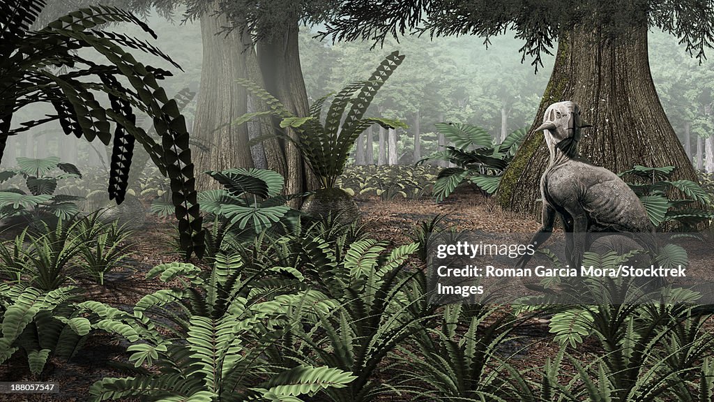 Psittacosaurus sinensis rests on his haunches to explore the understory of a forest in the Early Cretaceous of Asia.