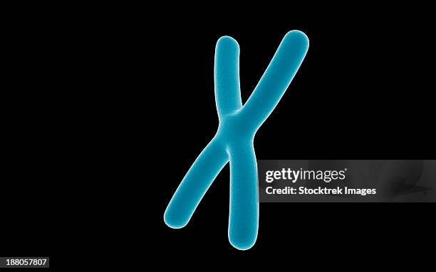 conceptual image of chromosome. - chromosome stock illustrations