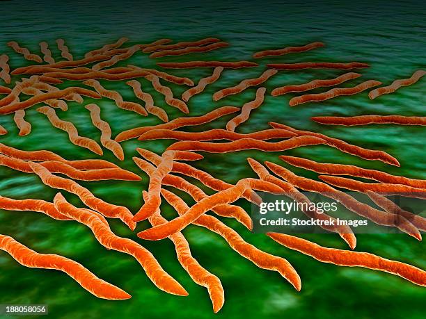 Why the infection rate is increasing Why the infection rate is increasing