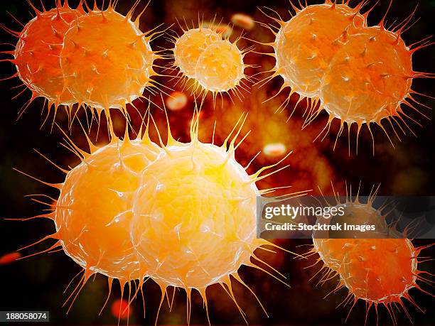 stockillustraties, clipart, cartoons en iconen met microscopic view of neisseria. - neisseria gonorrhoeae
