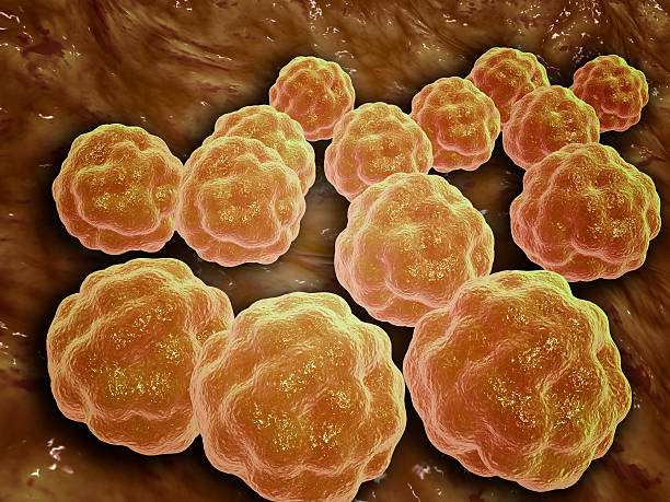 Rubella Infectivity 18 Measles Outbreak High Res Illustrations - Getty Images