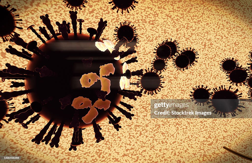 A black swarm of H5N1 avian flu viruses are attacked by antibodies (the three legged elements), which mark the virus for destruction.
