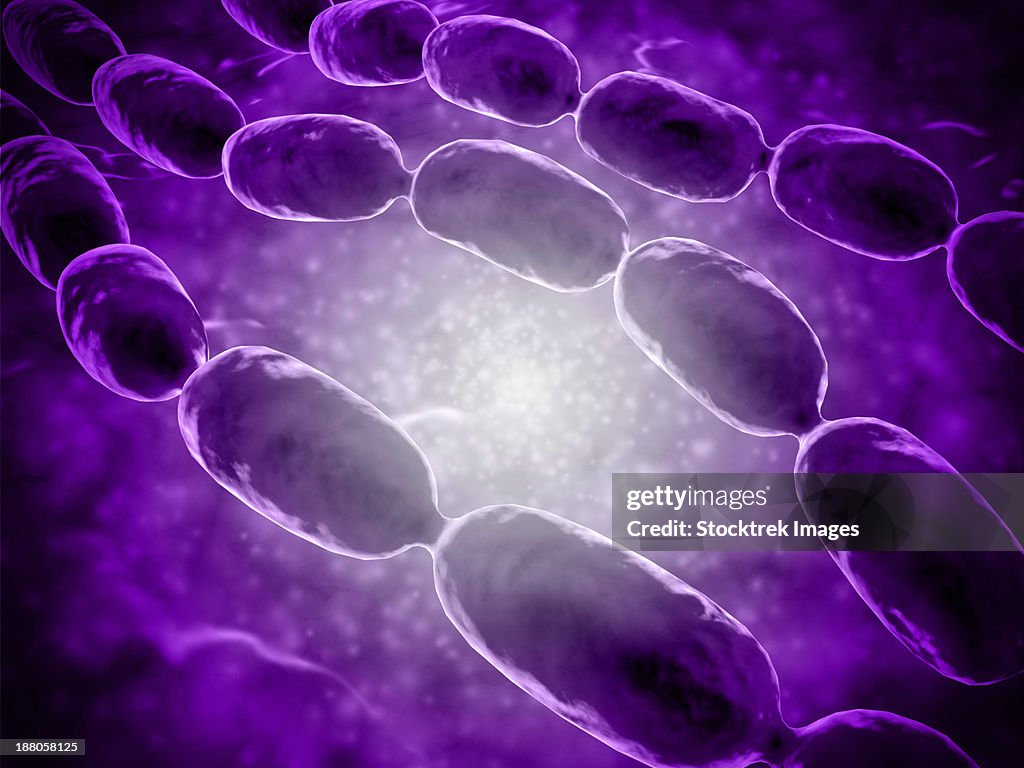 Microscopic view of bacterial pneumonia. Bacterial pneumonia is a type of pneumonia caused by bacterial infection.