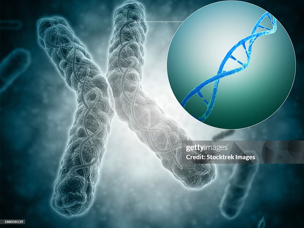 Conceptual image of a telomere showing DNA structure.
