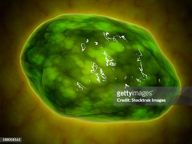 conceptual image of lysosome. lysosomes are cellular organelles that contain acid hydrolase enzymes that break down waste materials and cellular debris. - lysosome stock illustrations