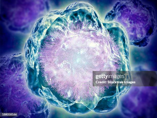 conceptual image of cytoskeleton. - microtubule stock illustrations