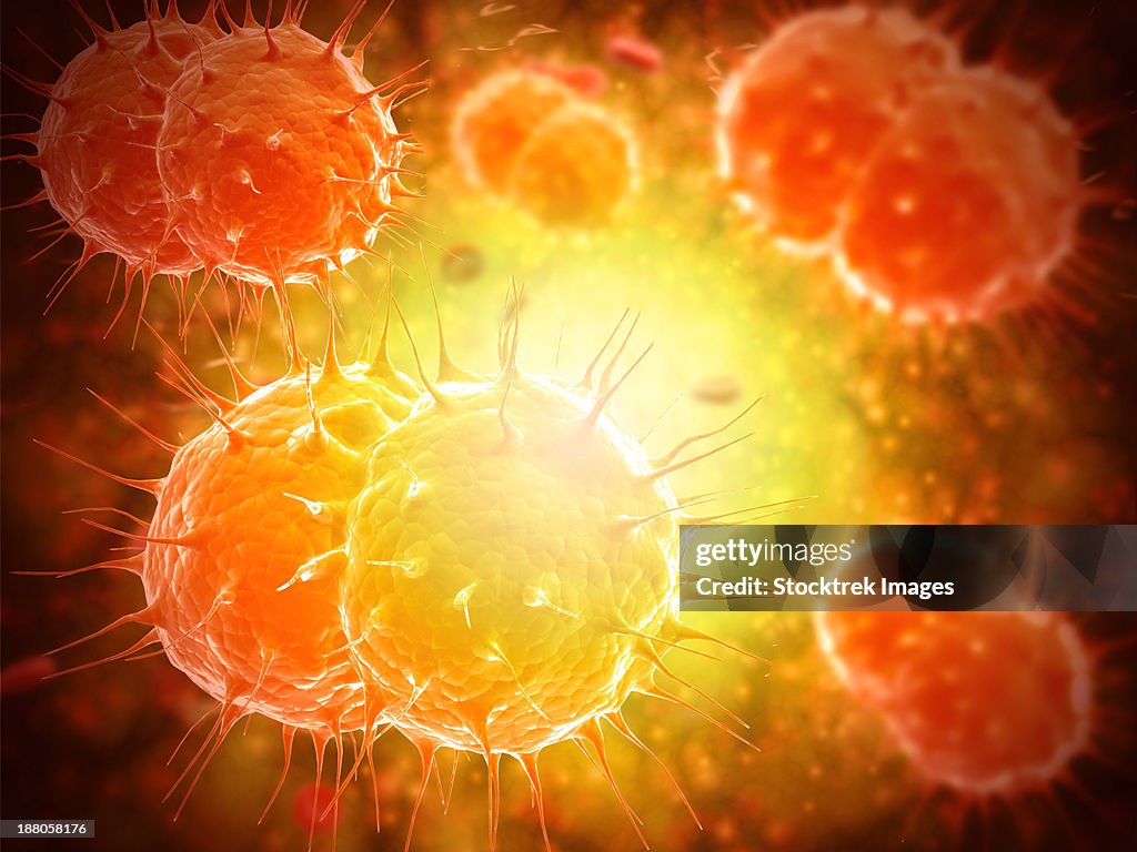 Microscopic view of Neisseria gonorrhoeae.