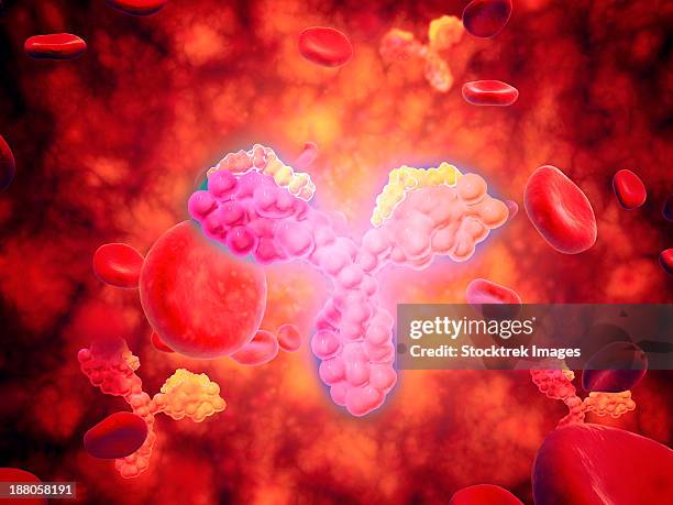 microscopic view of human anitbodies with red blood cells. - hematology abstract stock illustrations