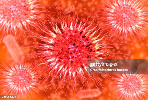 microscopic view of dendrimers. dendrimers are repetitively branched molecules. - polymer molecule stock illustrations