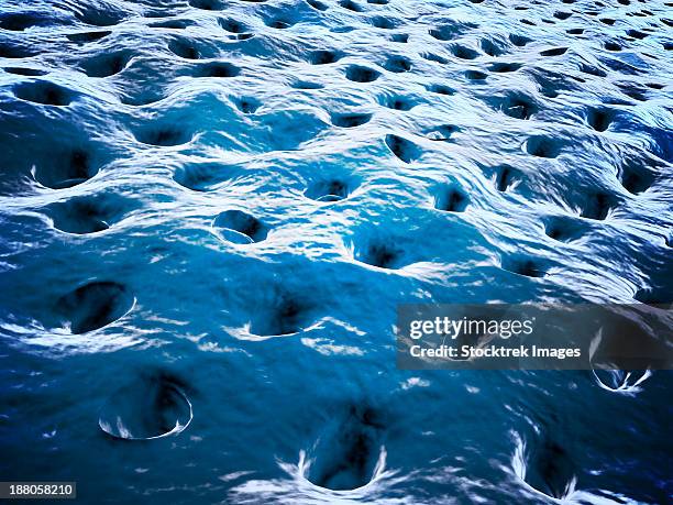 stockillustraties, clipart, cartoons en iconen met microscopic view of dentine. dentine is the main supporting structure of the tooth and is the second hardest tissue in the body after enamel. it is 70% mineral and acellular. - acellular organism