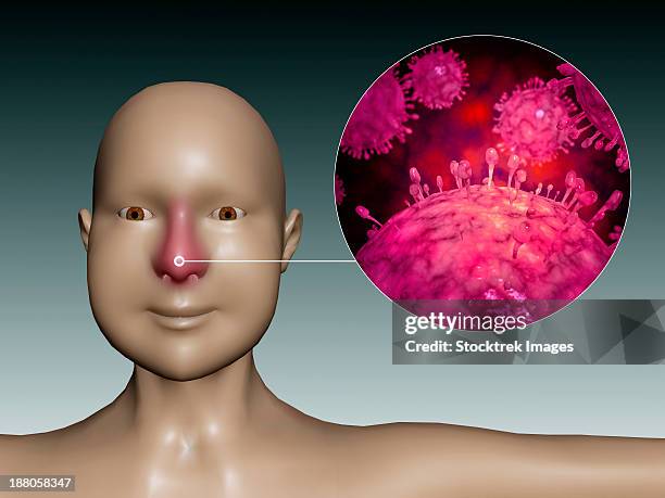 common cold influenza virus with microscopic close-up. - sinus infection stock illustrations