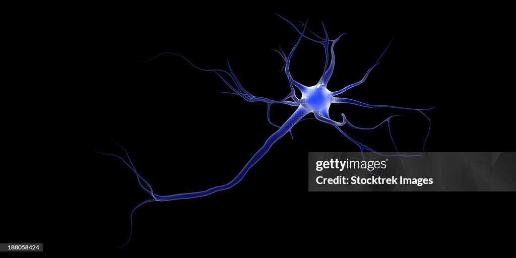 Conceptual image of a neuron.