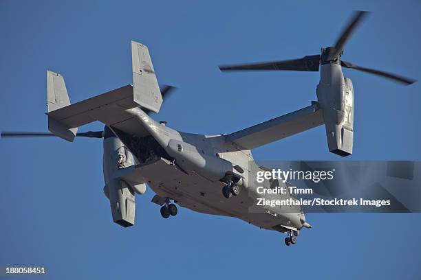 an mv-22b osprey prepares for landing, marine corps air station yuma, arizona. - us marine corps stock pictures, royalty-free photos & images