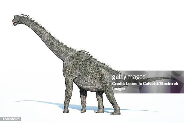 bildbanksillustrationer, clip art samt tecknat material och ikoner med 3d rendering of a brachiosaurus dinosaur. - brachiosaurus