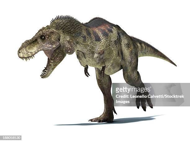3d rendering of a tyrannosaurus rex dinosaur. - paleobiology stock illustrations