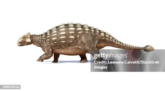 3D rendering of an Ankylosaurus dinosaur, side view. 3D rendering of an Ankylosaurus dinosaur, side view.