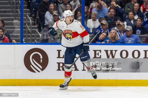 Sam Reinhart and the Florida Panthers celebrate a goal against the Tampa Bay Lightning during the third period at Amalie Arena on December 27, 2023...