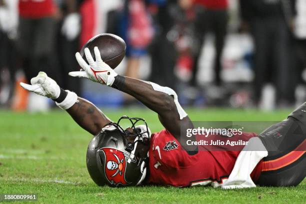 Chris Godwin of the Tampa Bay Buccaneers reacts after a first down reception against the Jacksonville Jaguars during the fourth quarter at Raymond...