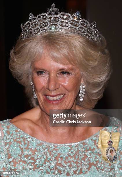 Camilla, Duchess of Cornwall attends the CHOGM Dinner at the Cinnamon Lakeside Hotel during the Commonwealth Heads of Government 2013 Opening...