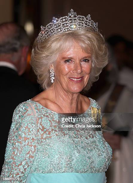 Camilla, Duchess of Cornwall attends the CHOGM Dinner at the Cinnamon Lakeside Hotel during the Commonwealth Heads of Government 2013 Opening...