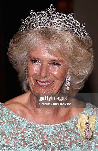 Camilla, Duchess of Cornwall attends the CHOGM Dinner at the Cinnamon Lakeside Hotel during the Commonwealth Heads of Government 2013 Opening...