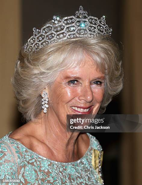 Camilla, Duchess of Cornwall attends the CHOGM Dinner at the Cinnamon Lakeside Hotel during the Commonwealth Heads of Government 2013 Opening...