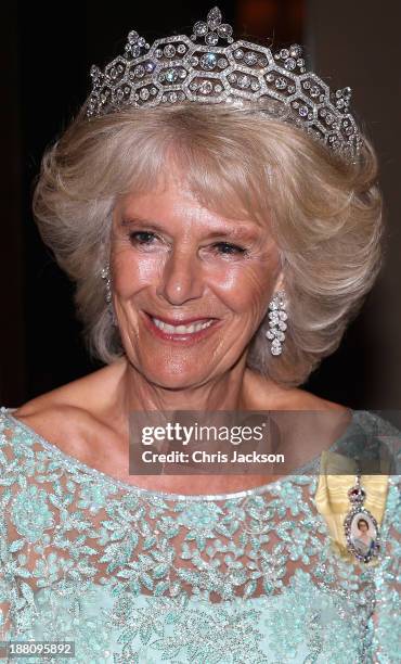 Camilla, Duchess of Cornwall attends the CHOGM Dinner at the Cinnamon Lakeside Hotel during the Commonwealth Heads of Government 2013 Opening...