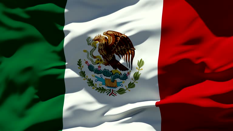 1 101点のメキシコ国旗のビデオクリップ 映像 Getty Images 1 101点のメキシコ国旗のビデオクリップ 映像 Getty Images
