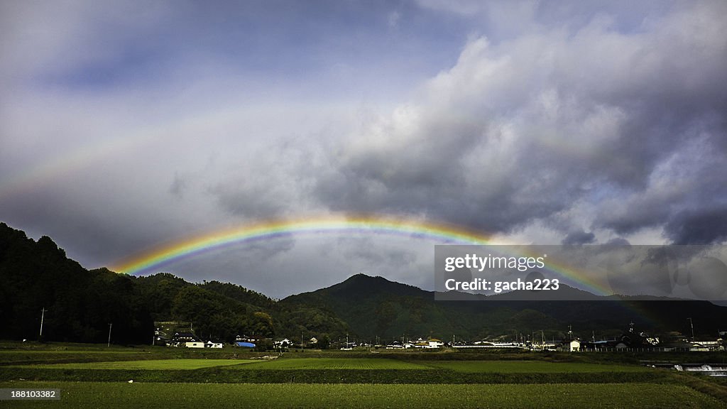 Rainbow