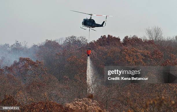 Orangeburg Sc Photos and Premium High Res Pictures - Getty Images