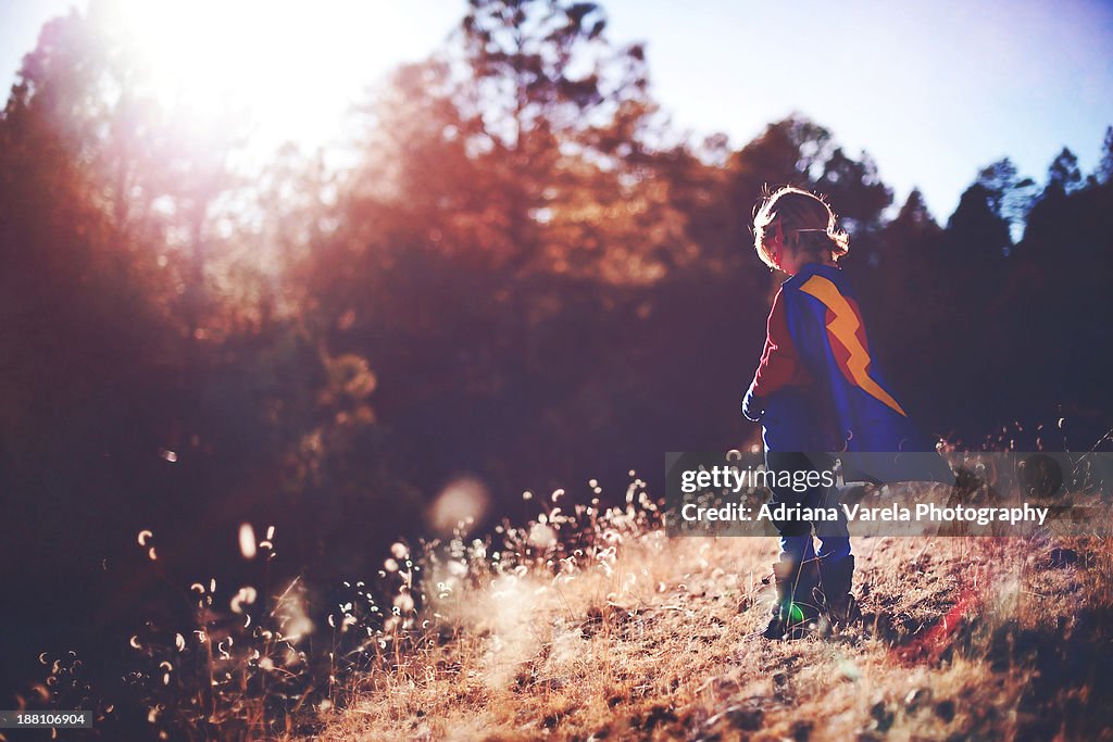 Even heroes have the right to dream