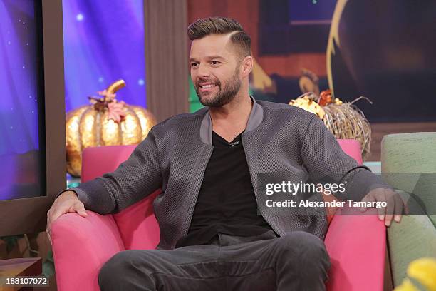 Ricky Martin is seen on the set of Despierta America to promote his new book "Santiago el Sonador" at Univision Headquarters on November 15, 2013 in...