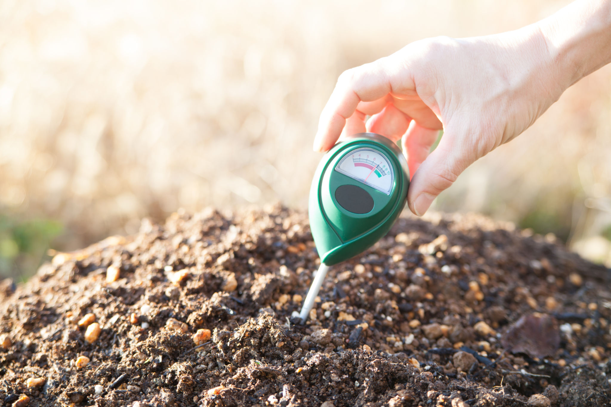 soil test