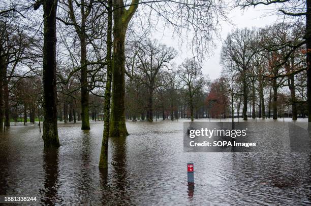 Trees are seen surrounded by water. Due to the rising water in the IJssel River, the municipality of the Deventer is placing sandbags on the quay to...